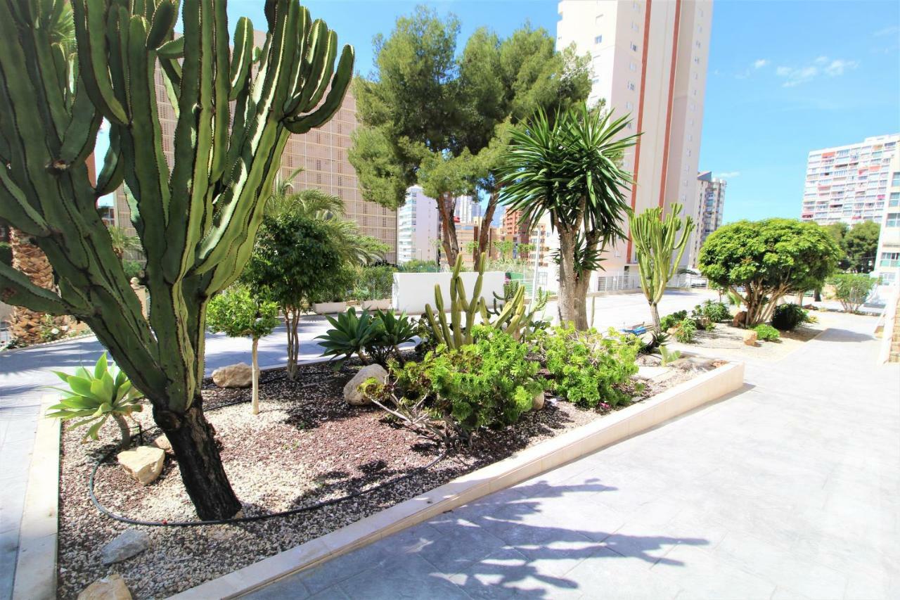 Atico Levante Torre Montecarlo Benidorm Exteriér fotografie